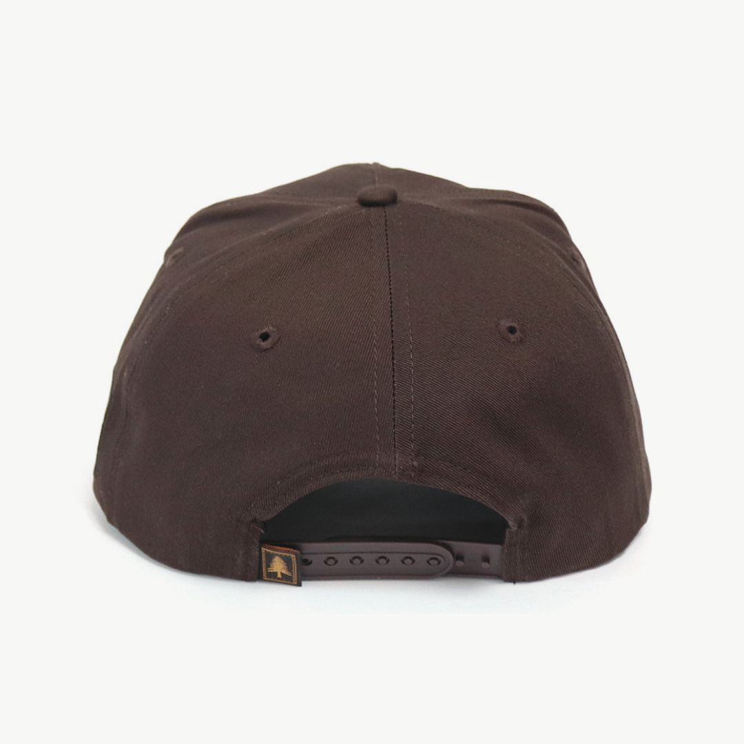 Letter Cap - Brown