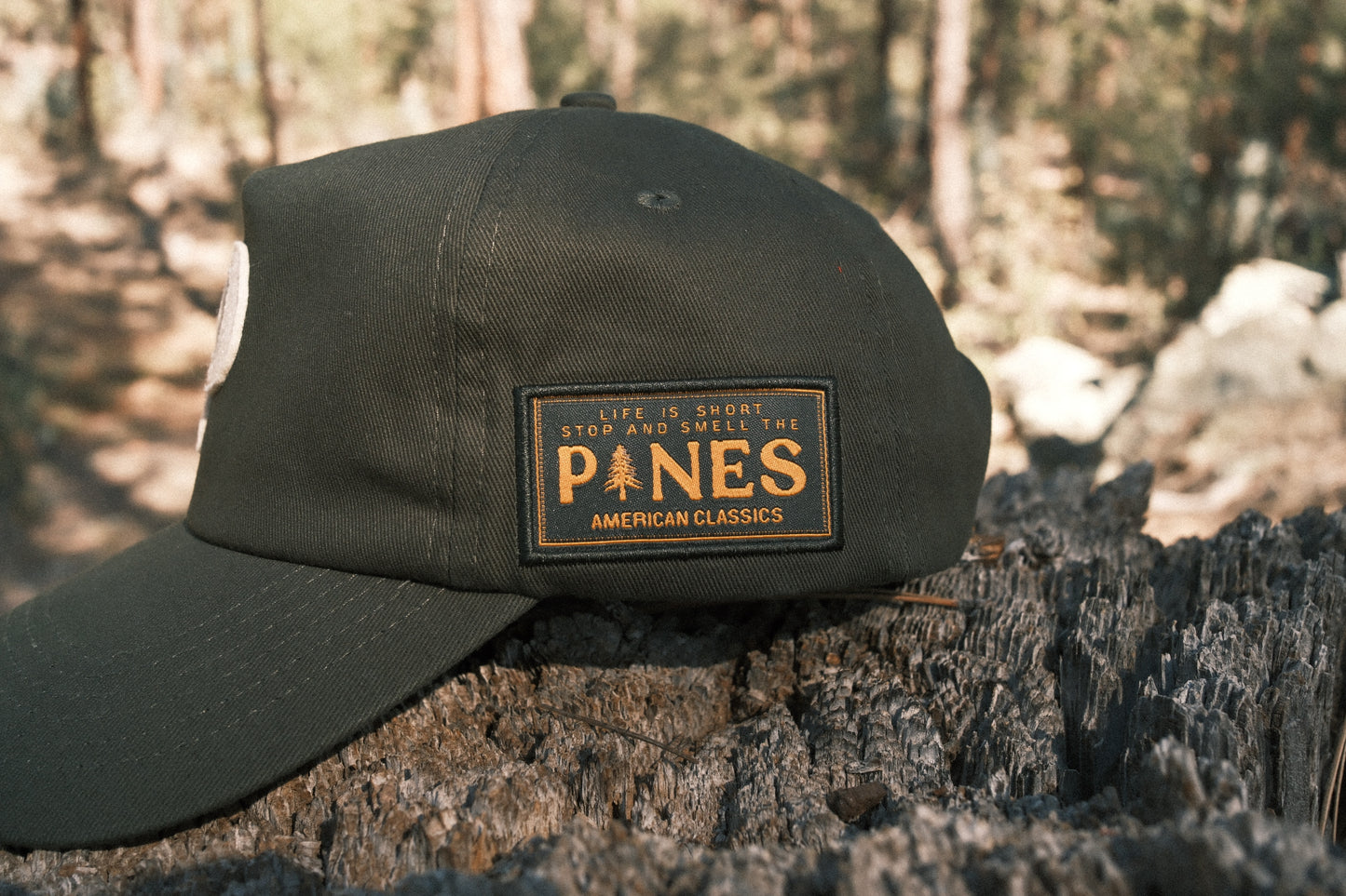 Canvas Letter Cap (Forest)